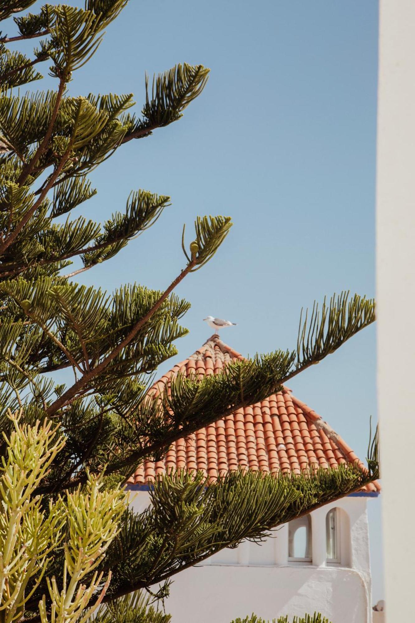 Villa Maroc Essaouira Bagian luar foto