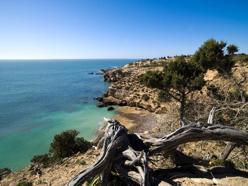 Villa Maroc Essaouira Bagian luar foto