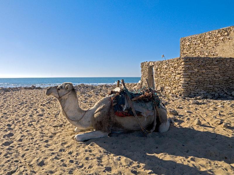 Villa Maroc Essaouira Bagian luar foto